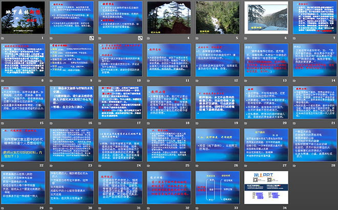 《地下森林断想》PPT课件（2）