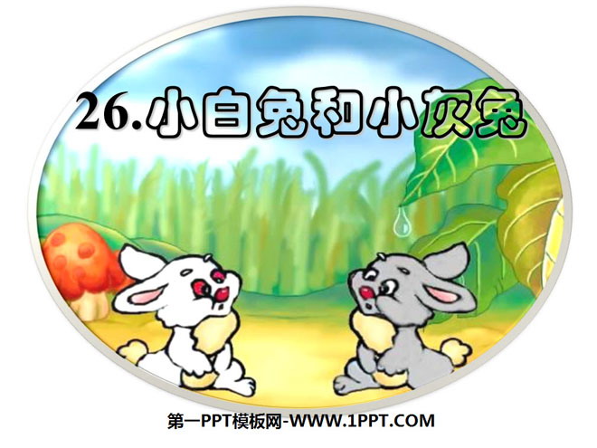 "Little White Rabbit and Little Gray Rabbit" PPT courseware 7