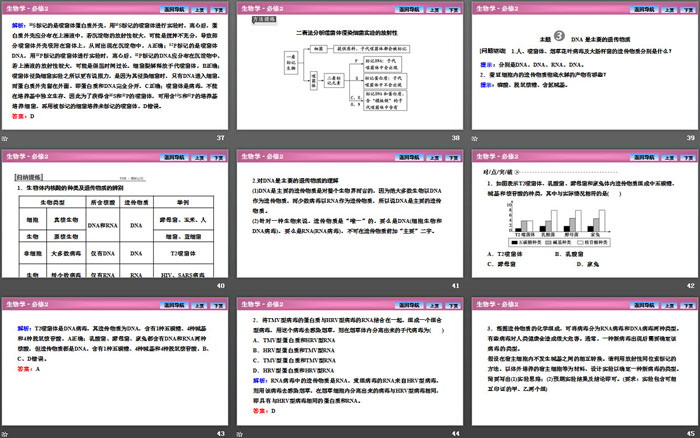 《DNA是主要的遗传物质》基因的本质PPT课件（6）