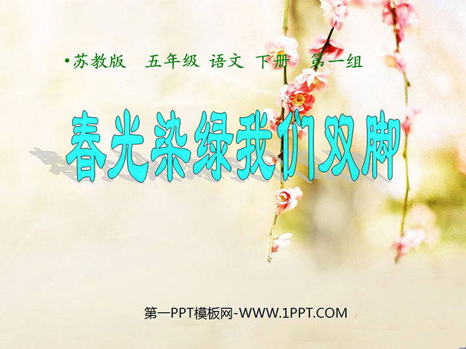 《春光染绿我们双脚》PPT课件5
(1)