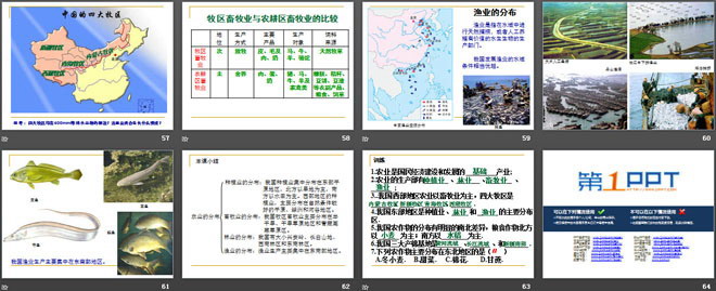 《农业的分布》PPT（7）