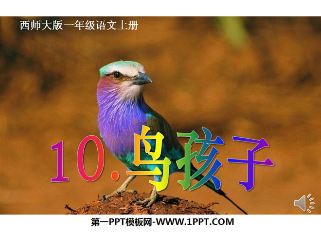 "Bird Child" PPT courseware 2