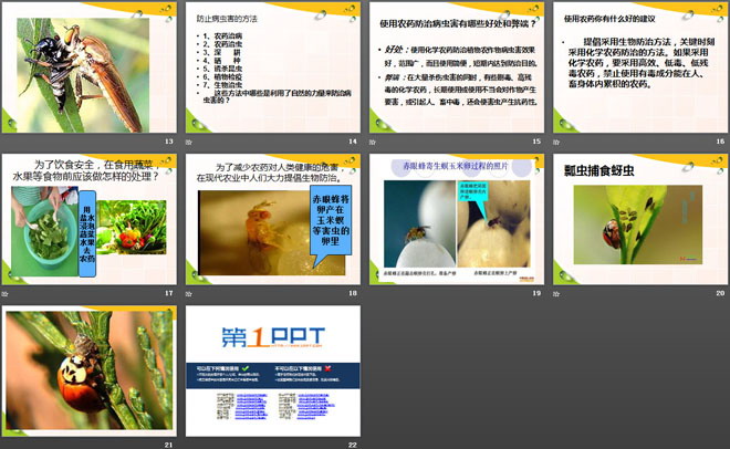 《防治病虫害》农田PPT课件
（3）
