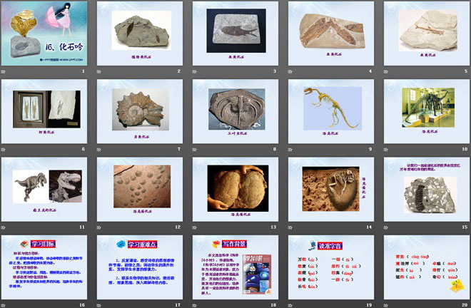《化石吟》PPT课件5
（2）