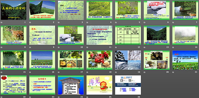 《美丽的小兴安岭》PPT教学课件下载4（2）