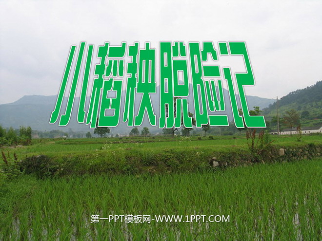 "Little Rice Seedling's Escape" PPT courseware