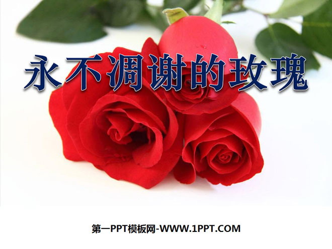 "The Rose That Never Fades" PPT Courseware 3
