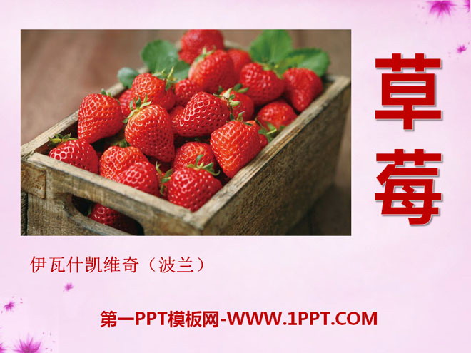 "Strawberry" PPT courseware