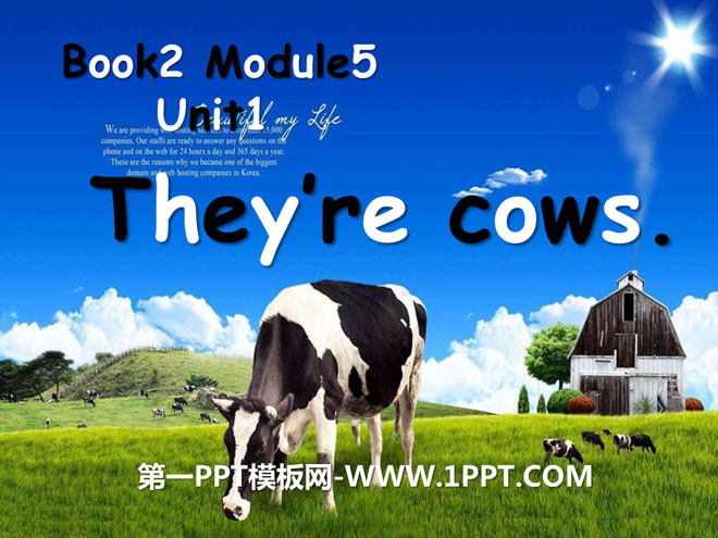 《They're cows》PPT課件2