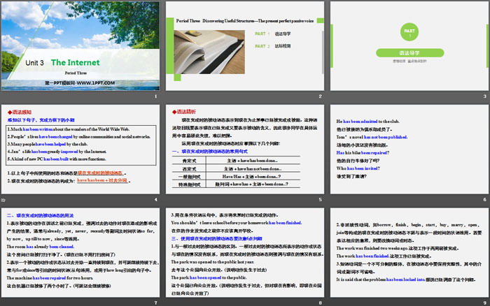 《The Internet》Period Three PPT（2）