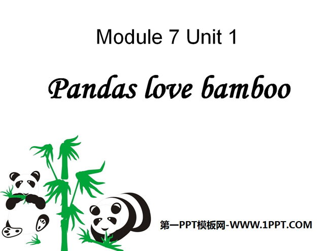 《Pandas love bamboo》PPT課件3
