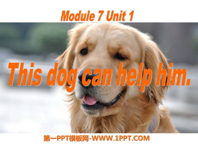 《This dog can help him》PPT課件3