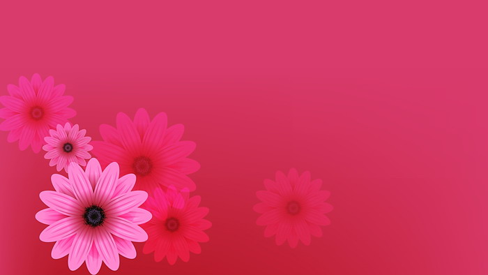 Pink beautiful flower PPT background picture