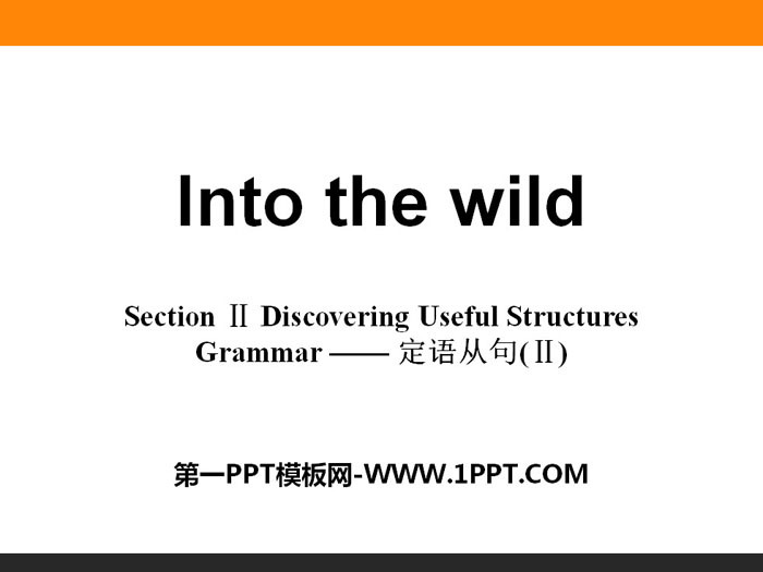 《Into the wild》Section ⅡPPT