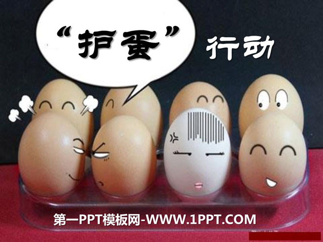 "Operation "Egg Protection"" PPT courseware