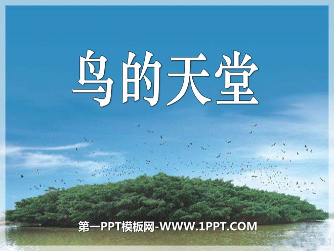 "Bird's Paradise" PPT courseware 7