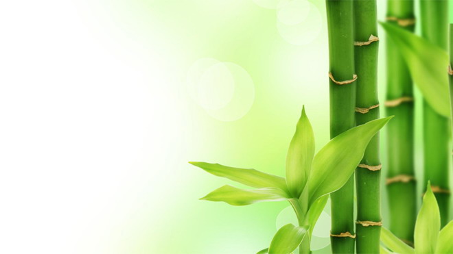 綠色清新竹子幻燈片背景圖片
