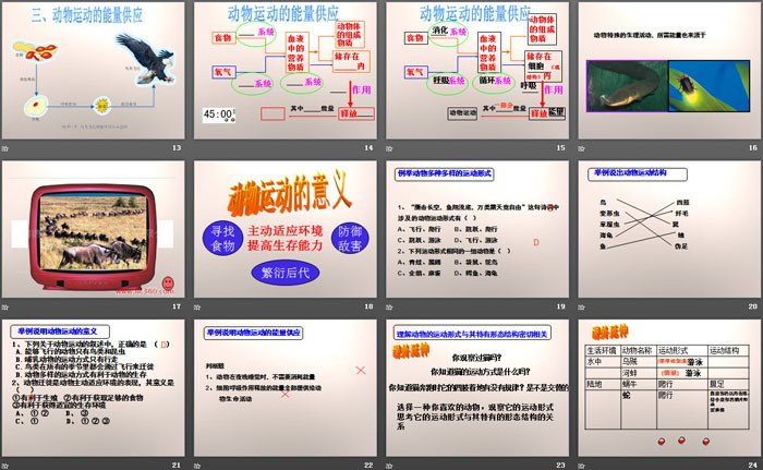 《动物的运动形式和能量供应》PPT课件（3）