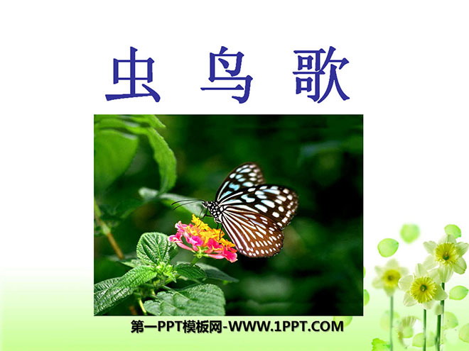 "Insect and Bird Song" PPT courseware 2