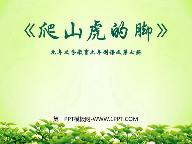 《爬山虎的脚》PPT教学课件下载