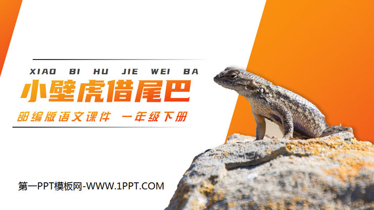 "Little Gecko Borrows Its Tail" PPT courseware free download