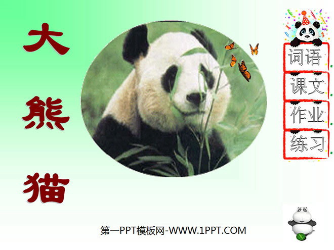"Giant Panda" PPT courseware 3