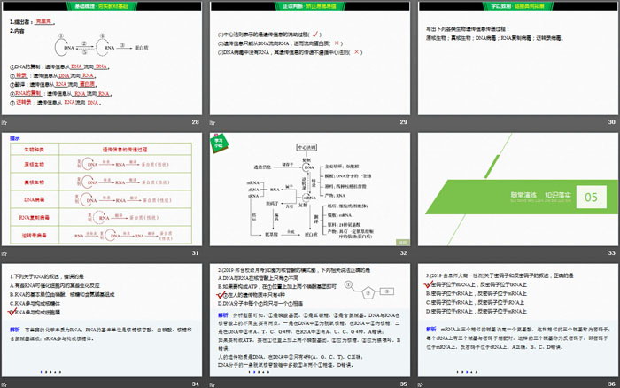 《基因指导蛋白质的合成》基因的表达PPT（5）