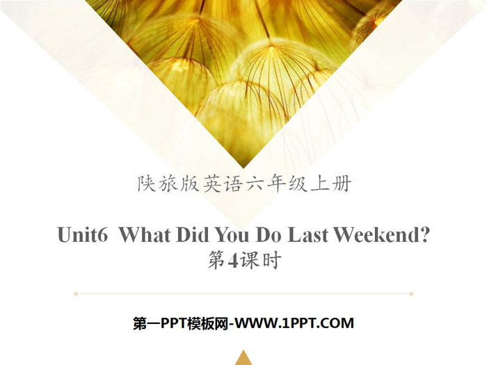 "What Did You Do Last Weekend?" PPT teaching courseware