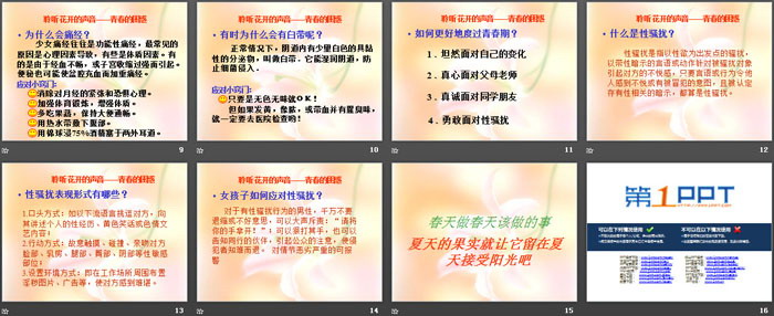 《青春期教育及防性侵讲座》PPT
（3）