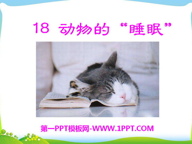 《動物的睡眠》PPT課件5