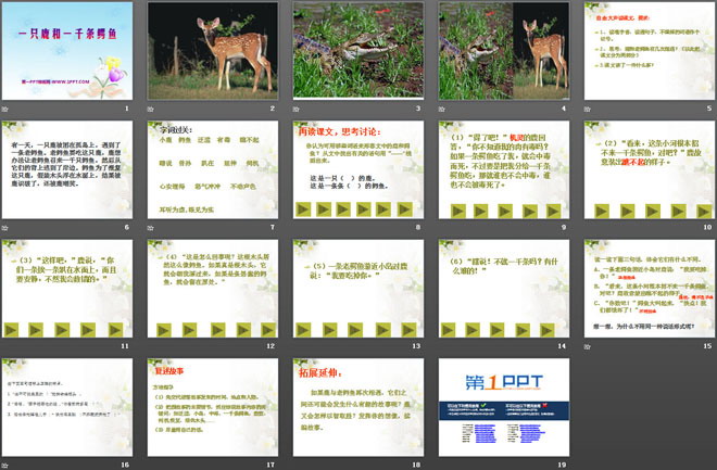 《一只鹿和一千条鳄鱼》PPT课件3
（2）
