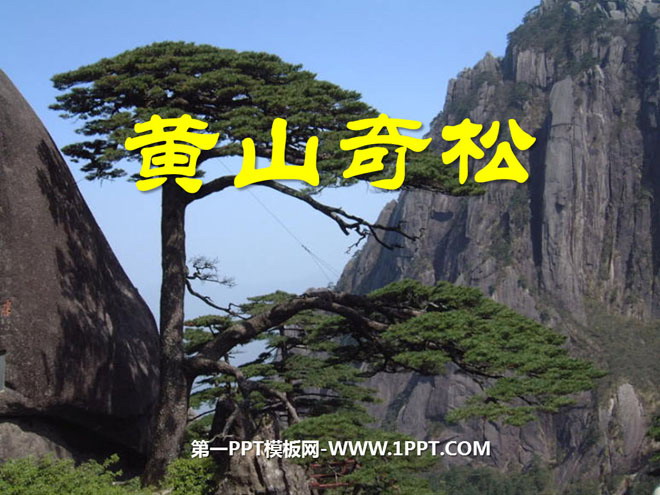 "Huangshan Wonderful Pines" PPT courseware 3