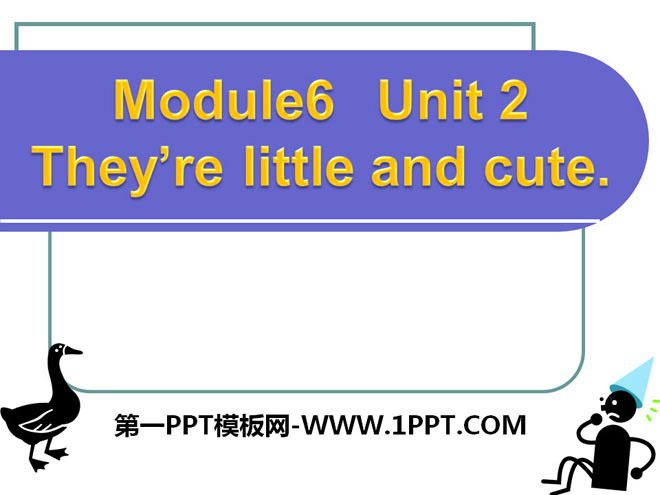 "They’re little and cute" PPT courseware 5