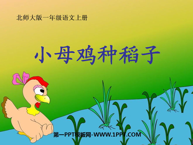 "Little Hen Plants Rice" PPT courseware