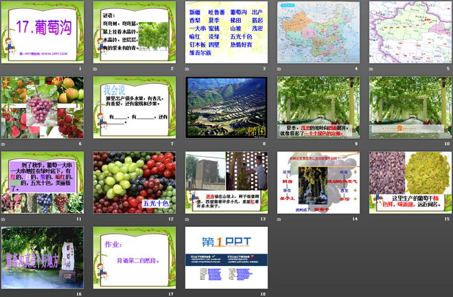 《葡萄沟》PPT课件11
（2）