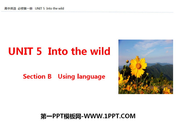 《Into the wild》Section B PPT