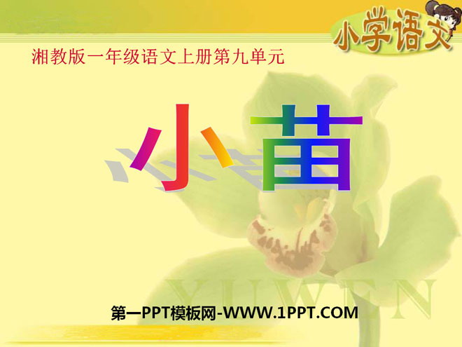 "Xiaomiao" PPT courseware