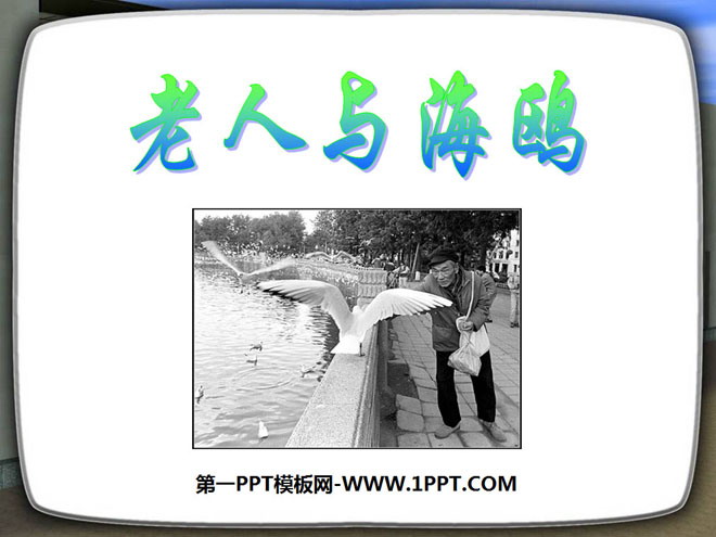 "The Old Man and the Seagull" PPT courseware 5