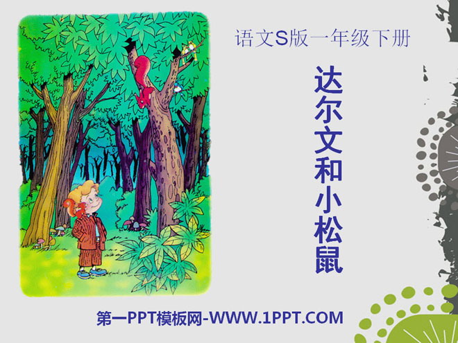 "Darwin and the Little Squirrel" PPT Courseware 6
