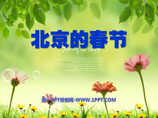 "Spring Festival in Beijing" PPT courseware