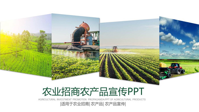 图片拼合背景的农业招商PPT模板（1）