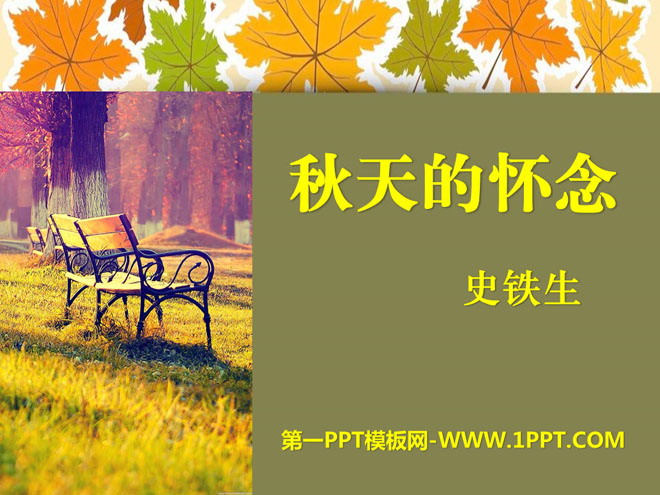 《秋天的懷念》PPT課件10