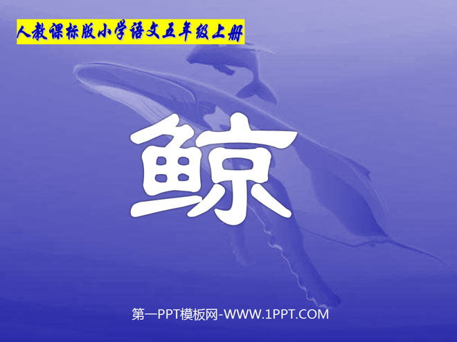 《鯨》PPT課程下載3