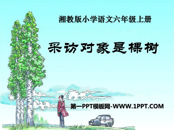 "The interview object is a tree" PPT courseware 4