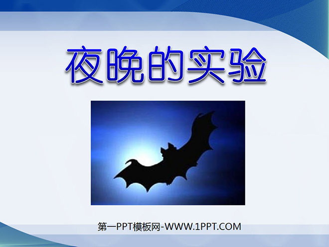 《夜晚的实验》PPT课件4
（1）
