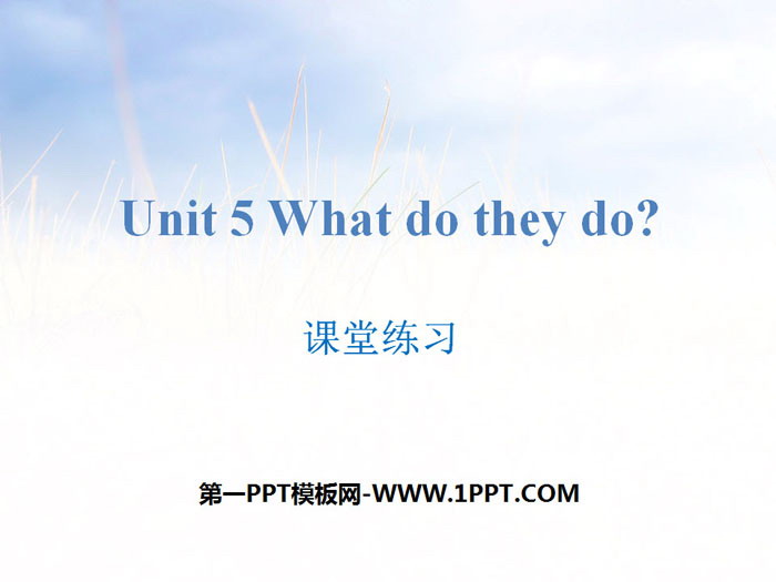 《What do they do?》課堂練習PPT
