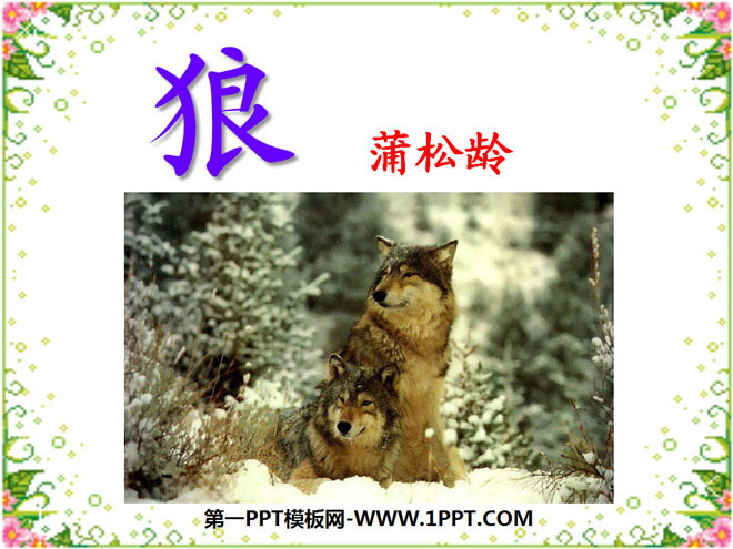 "Wolf" PPT Courseware 9