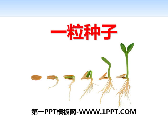 "A Seed" PPT download