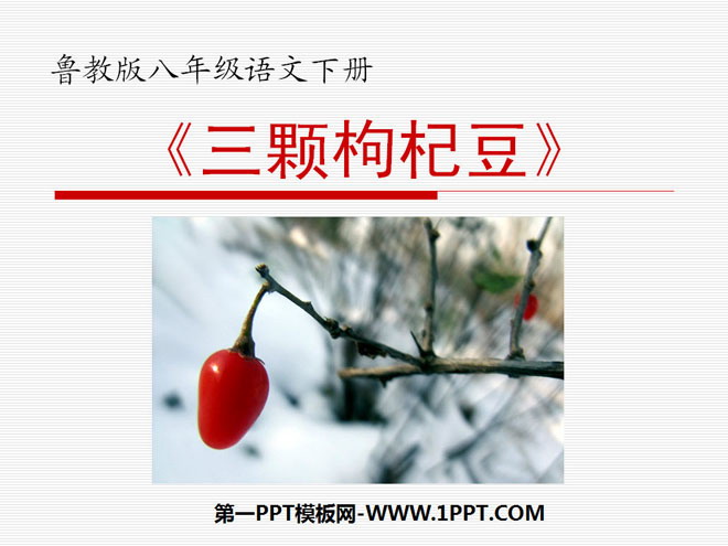 "Three Wolfberry Beans" PPT courseware 3