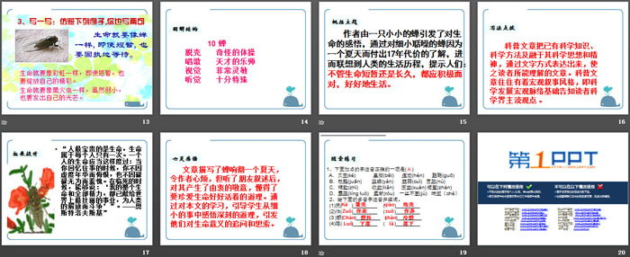 《蝉》PPT教学课件（3）